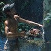 orangutan-danger Illegal logger cuts down tree thumbnail