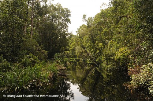 0693 Sekonyer River