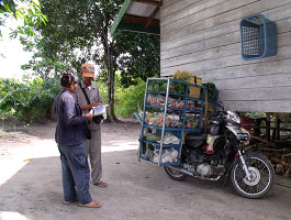 buying-icecream-carecenter A caregiver buying ice cream for the people at the Playpen Facility for older orangutan infants.