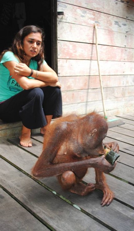 image002 Catarina Antão overlooks a snacking Xena who is holding one of the porridge parcels