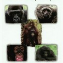 All Apes Great and Small