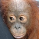 Become a Foster Parent to “Malcolm”