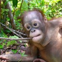 Become a Foster Parent to “Mason”