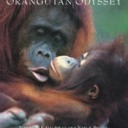 Orangutan Odyssey