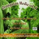 Orangutan DVD