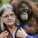 Donate to OFI