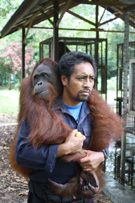 image003 Congo and Pak Sehat