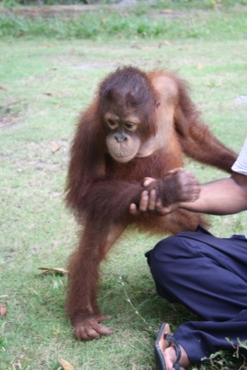 image005 Saut at the OFI Care Center