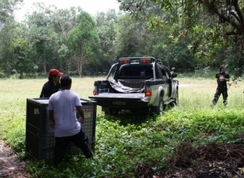 image015 Congo’s transit cage is ready to be moved onto the transit vehicle