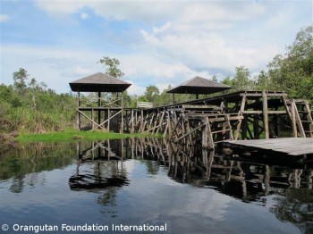 image003 OFI's jetty at camp Leakey. The two shelters were built by volunteers in 2004.