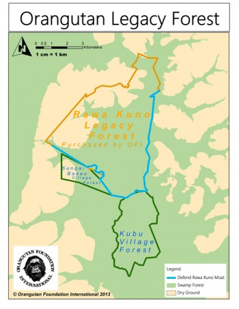 OrangutanLegacyForest-MAP-500 Map of forest 2