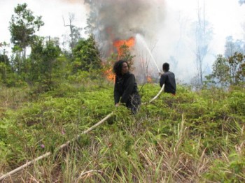 OFI rangers firefighting OFI rangers firefighting